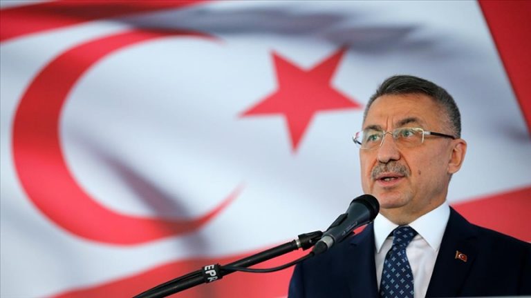 Cumhurbaşkanı Yardımcısı Oktay’dan “Kanlı Noel” Anması
