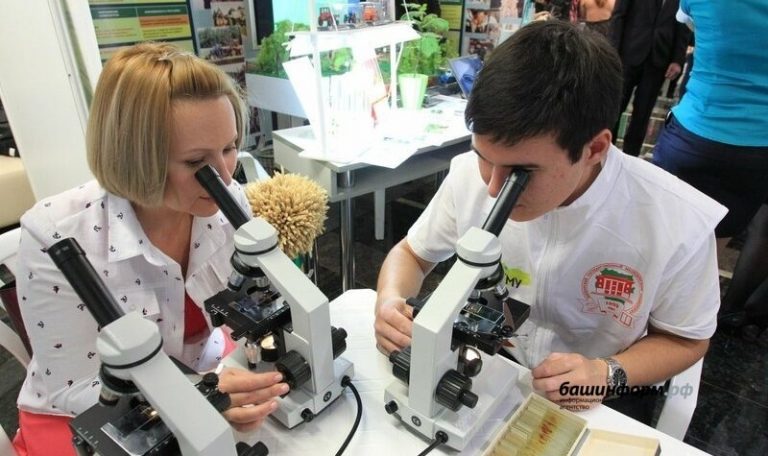 Tataristan’da İşçilerin Yarısından Fazlası Yarı Zamanlı İş Bulmak İstiyor