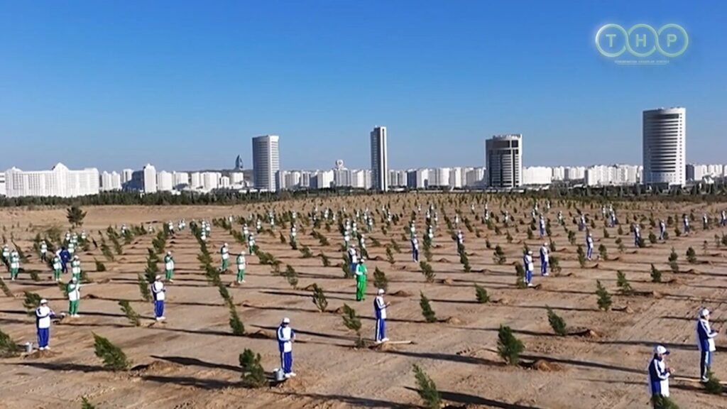 Türkmenistan’da Yeşillendirme Kampanyasının Sonbahar Aşaması Başladı