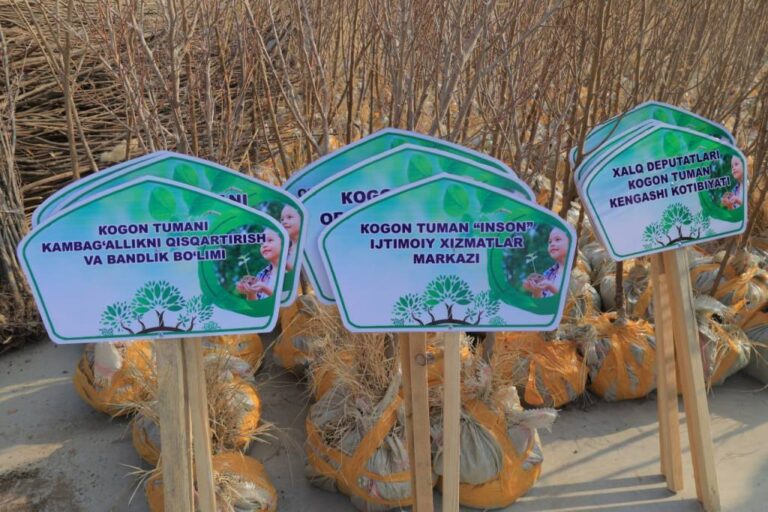 Özbekistan’da Kültür ve Rekreasyon Parkı Oluşturuluyor