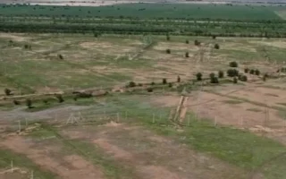 Türkistan Topraklarını Korumak İçin Ortak İklim Hamlesi
