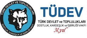 TÜDEV